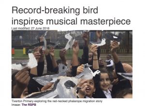 RSPB article